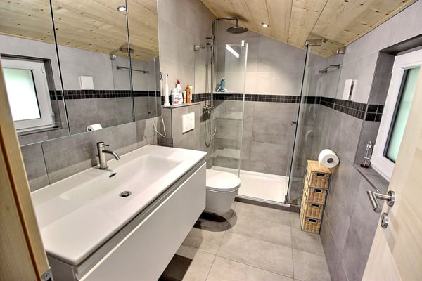 MAGNIFIQUE CHALET DE 2 APPARTEMENTS 9