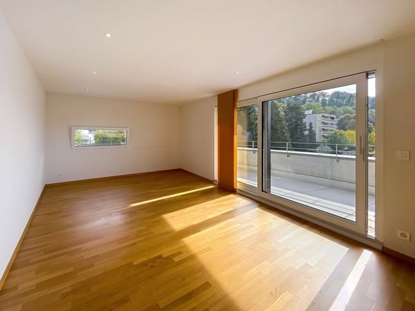 Attique avec ascenseur privatif et balcon périphérique 2