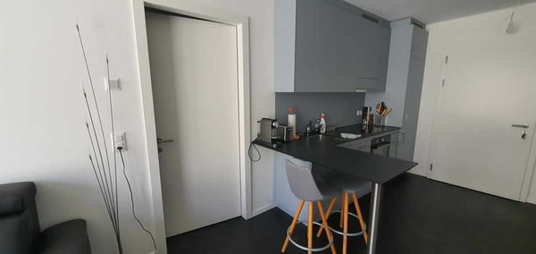 Appartement meublé de 1.5 pièces au 4ème étage 1