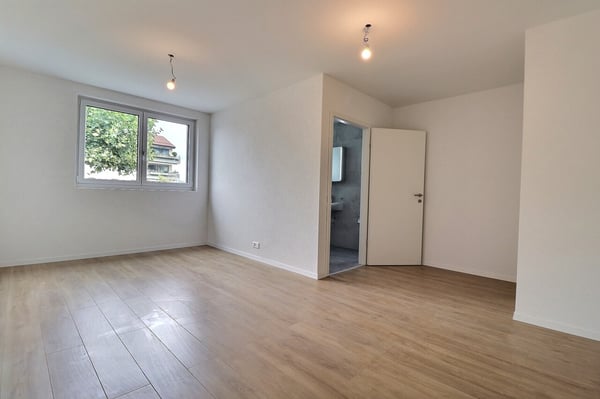 Spacieux 1.5 pièces à louer ! 7