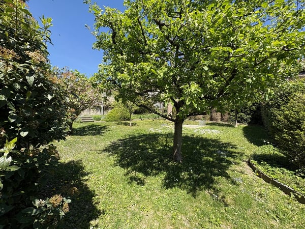 Magnifique appartement de 5.5 pièces avec un jardin privatif 10