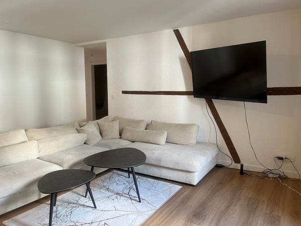 3.5 pces à 2 pas du centre ville 4