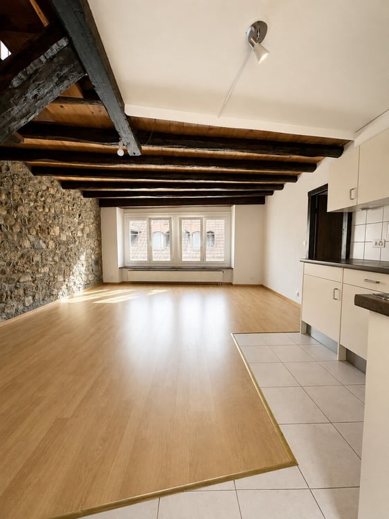 3.0 pièces de 55 m2 en duplex 2