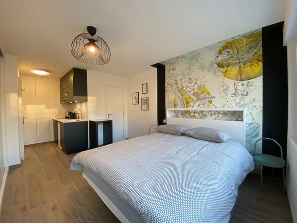 Lumineux studio meublé à deux pas de la gare 2