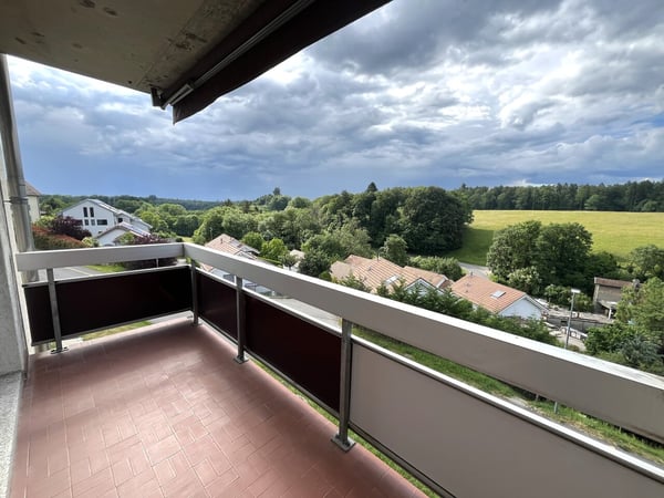 Grand studio avec balcon à Saubraz