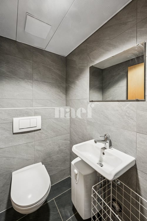 Locaux commerciaux idéalement situé au coeur de la Ville. 7