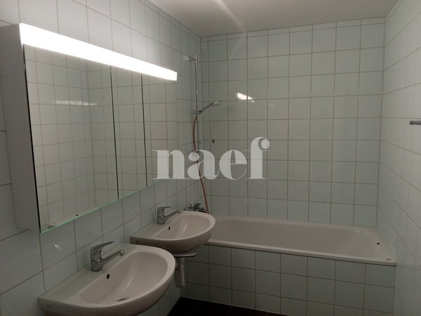 Magnifique et spacieux appartement à deux pas de la gare avec vue imprenable sur le lac. 6