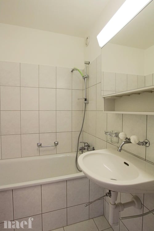 Bel appartement de 1 pièces avec blacon 6