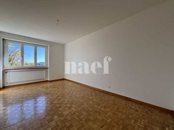 Bel appartement de 1 pièces avec blacon 3