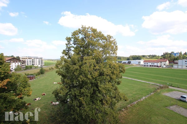 Bel appartement de 1 pièces avec blacon 8