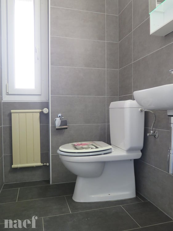 Bel appartement rénové récemment avec magnifique vue sur le lac. 4