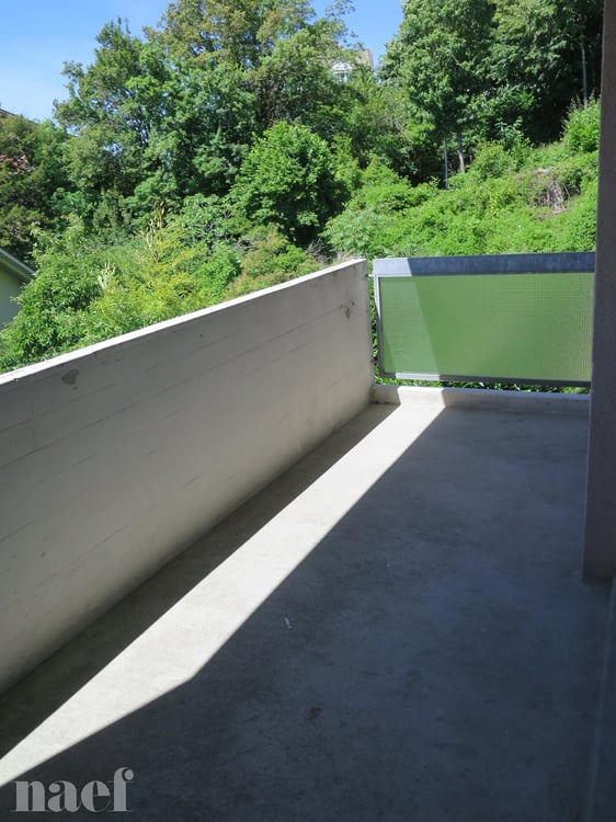 Bel appartement rénové récemment avec magnifique vue sur le lac. 5