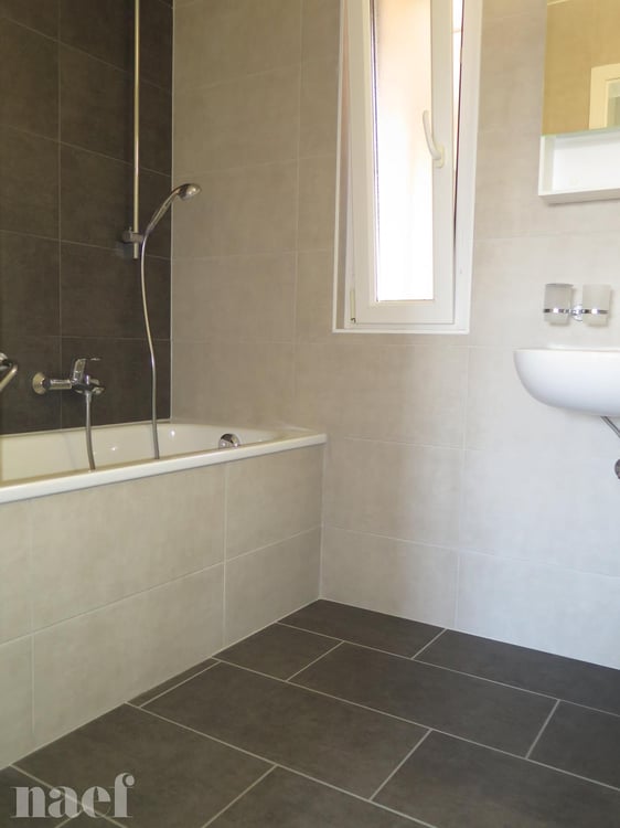 Bel appartement rénové récemment avec magnifique vue sur le lac. 3