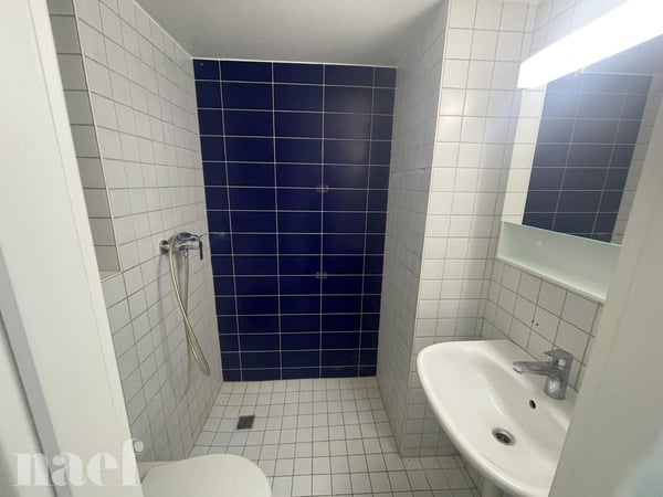 Appartement de 1 pièces pour personnes à l'AVS ou mobilité réduite 7