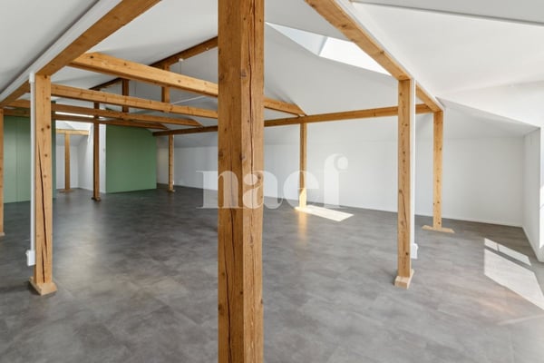 3 premiers loyers offerts 8