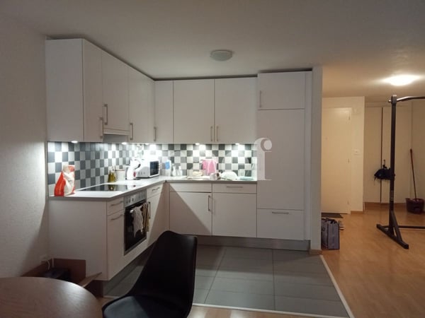 Ce magnifique studio se compose d'un grand séjour, d'une cuisine agencée ouverte sur le séjour et d'une salle de douche. Ce bien est situé à proximité de toutes les commodités. 2