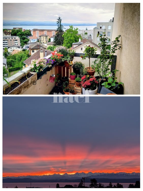 Bel appartement de 1.5 pièces. 2