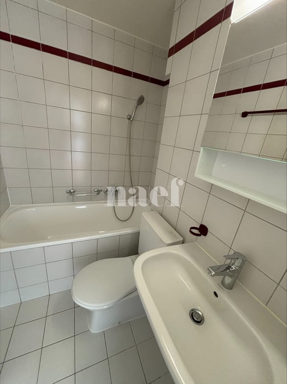 Appartement lumineux avec terrasse 5