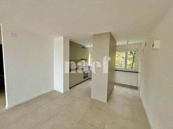 Tréb bel appartement rénové avec balcon 3