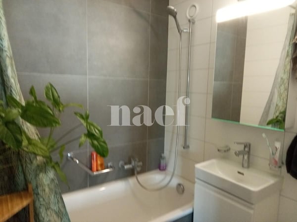Charmant logement avec vue sur le lac 4