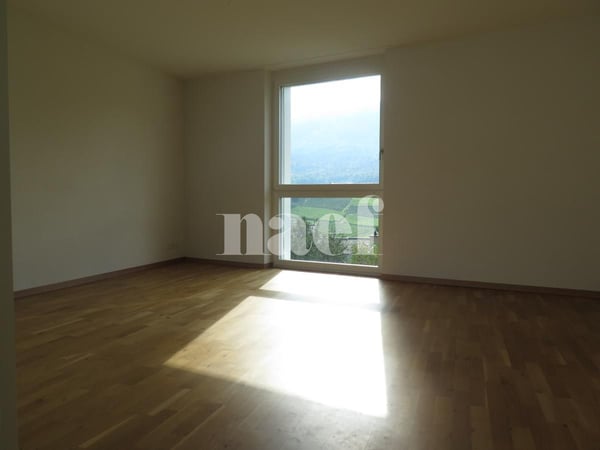 Bel Appartement lumineux avec parking souterrain