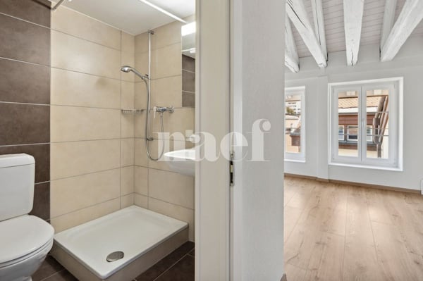 Bel appartement atypique situé au coeur de la Ville. 8