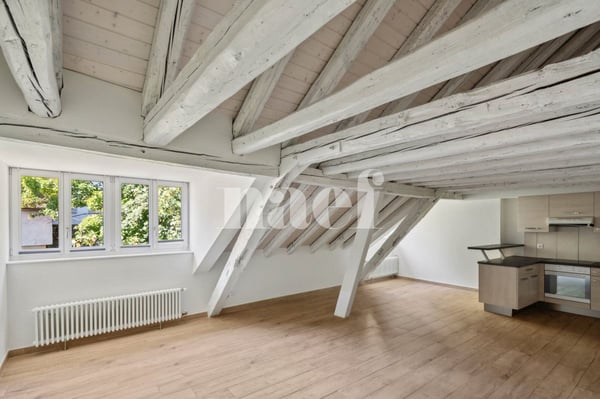 Bel appartement atypique situé au coeur de la Ville. 4