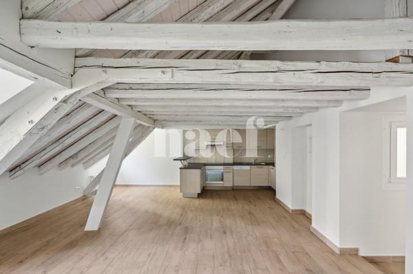 Bel appartement atypique situé au coeur de la Ville. 3