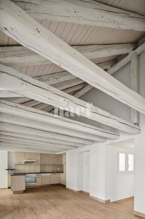 Bel appartement atypique situé au coeur de la Ville. 9