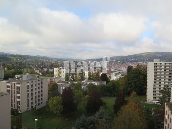 Appartement de 1.5 pièces avec une belle vue dégagée 8