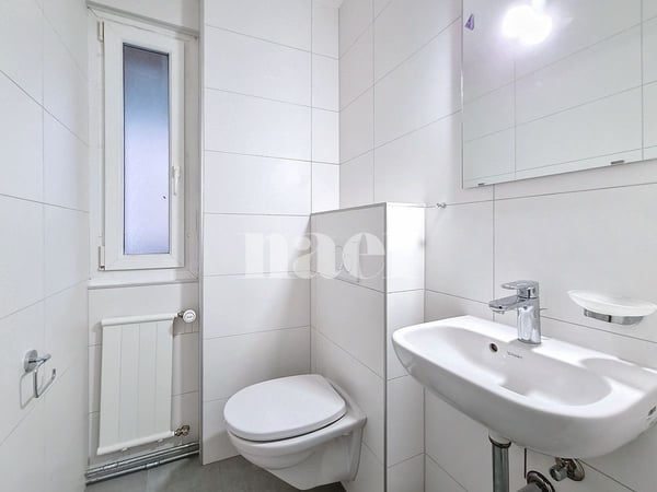Appartement de 1 pièces entièrement rénové 3