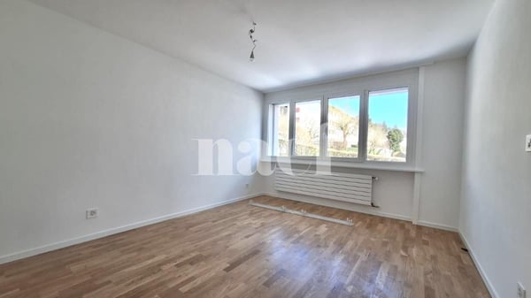 RENOVE - Magnifique appartement lumineux de 3 pièces à Tramelan 3