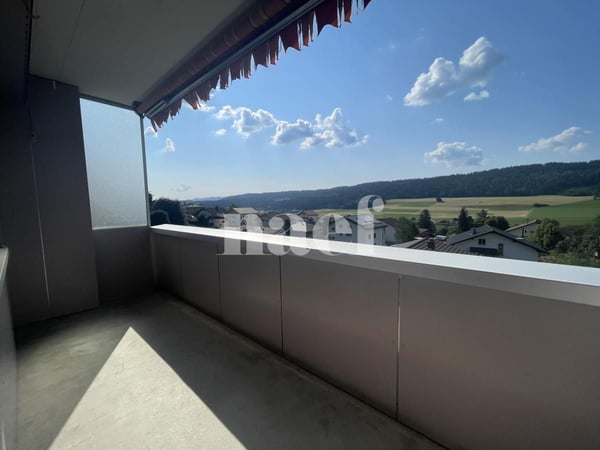 RENOVE - Magnifique appartement lumineux de 3 pièces à Tramelan 8