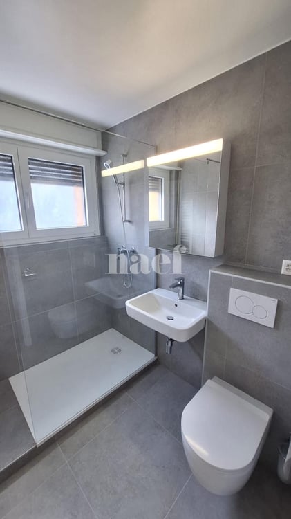 RENOVE - Bel appartement lumineux de 1.5 pièces 6