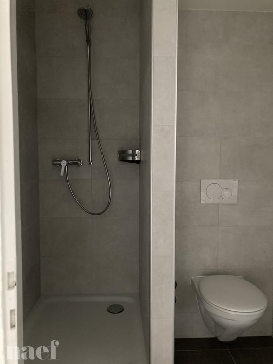 Studio entièrement rénové situé dans le haut de la Ville. 5