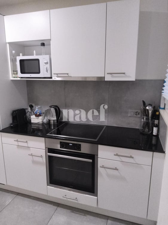 Appartement de 1 pièces au rez-de-chaussée 3