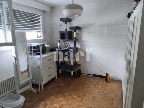 Appartement de 1 pièces au rez-de-chaussée 6
