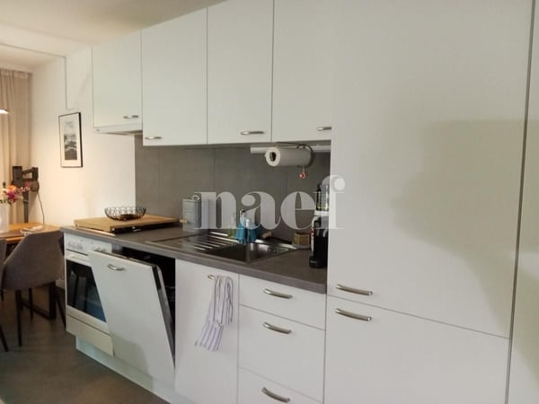 Bel appartement situé dans le haut de la ville 2