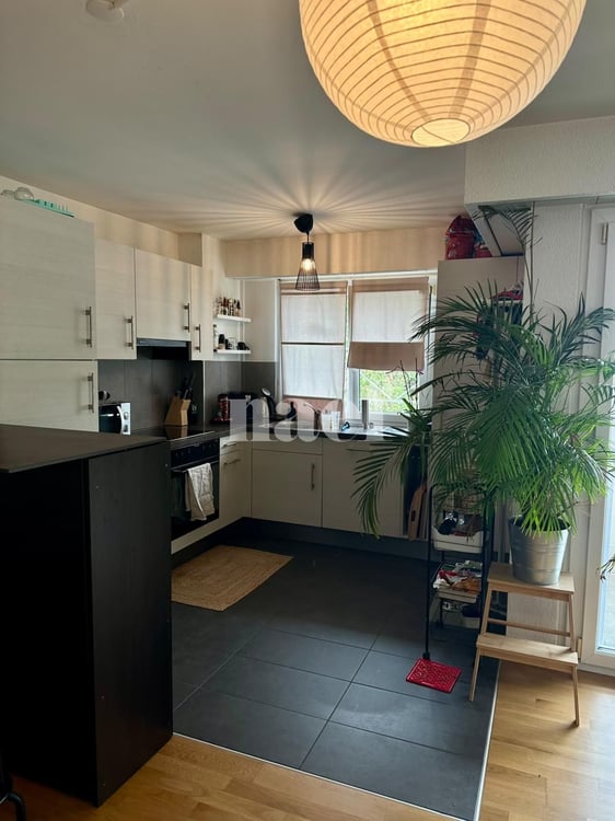 Bel appartement avec terrasse 4