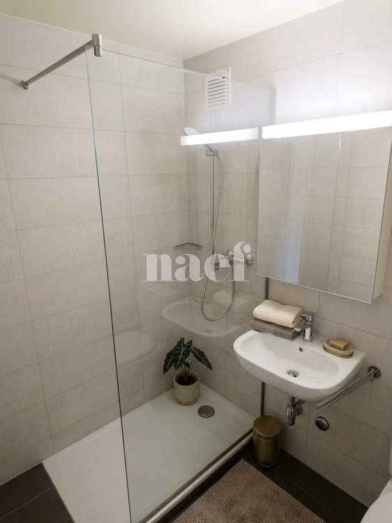 Bel appartement de 2.5 pièces complètement rénové 4