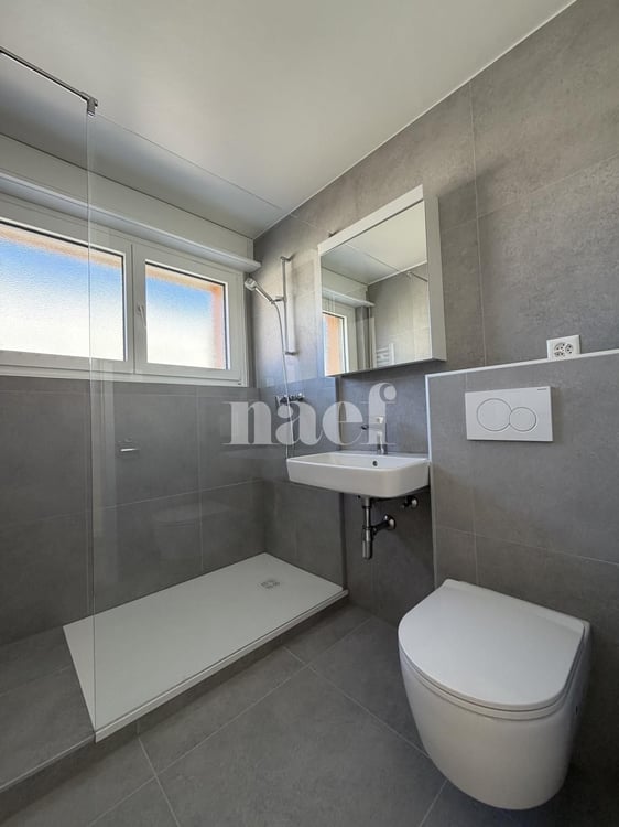 RENOVE - Bel appartement lumineux de 3.5 pièces 5