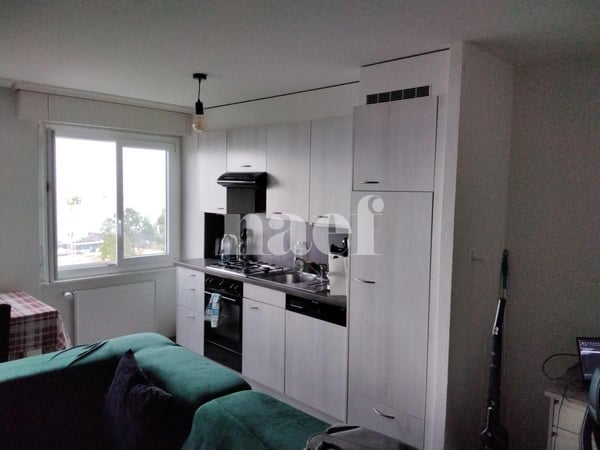 Appartement lumineux situé dans un quartier verdoyant 1
