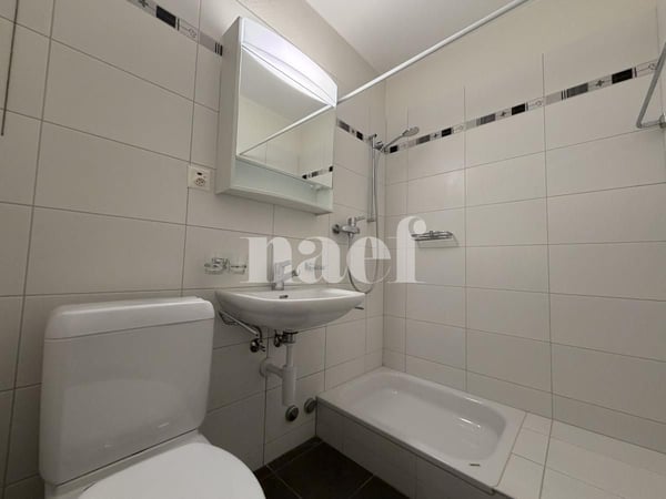 Très beau studio au Locle 3