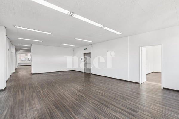 Nouvelle surface commerciale disponible de 534 m2 5