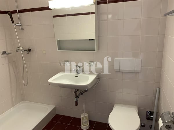 Spacieux appartement de 4.5 pièces avec balcon et grande mezzanine dans les combles 4