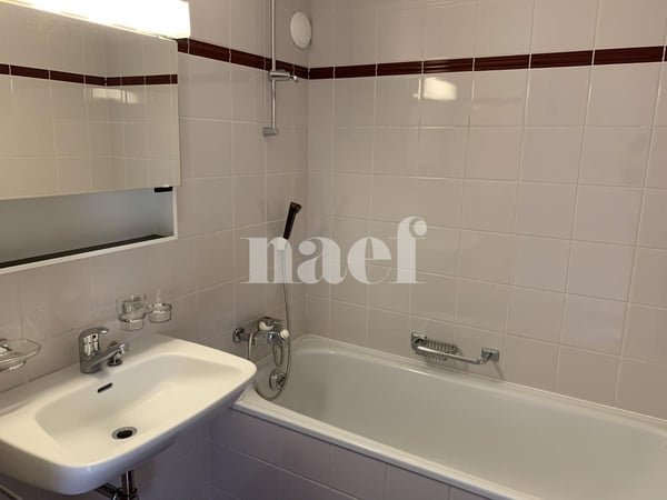 Spacieux appartement de 4.5 pièces avec balcon et grande mezzanine dans les combles 5