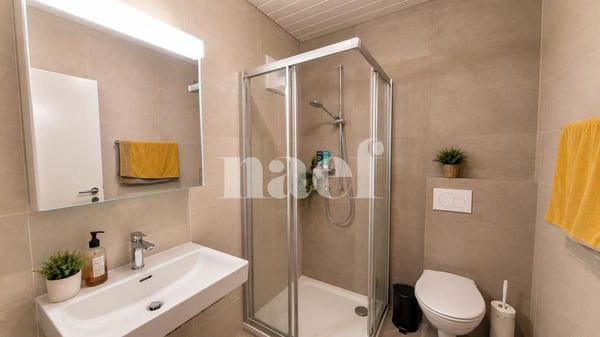 Bel appartement de 4 pièces dans les combles avec grand balcon et vue lac 7