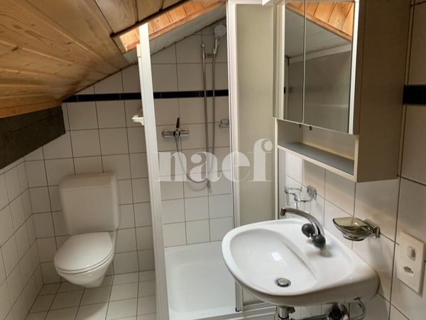 Charmant appartement duplex de 3 pièces dans les combles avec balcon et vue campagne 7