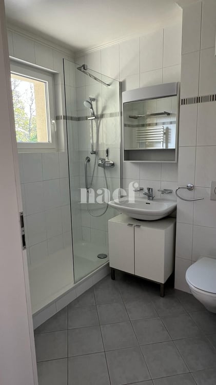 Bel appartement de 3 pièces au 2ème étage avec grand balcon 8