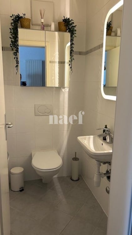 Bel appartement de 3 pièces au 2ème étage avec grand balcon 7